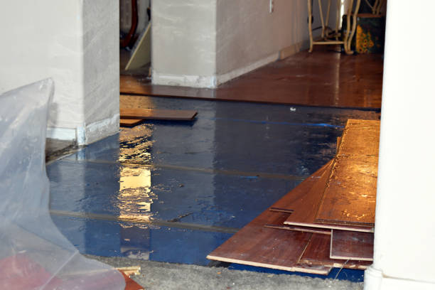 Professional Basement Flood Cleanup technician working in Calverton, MD